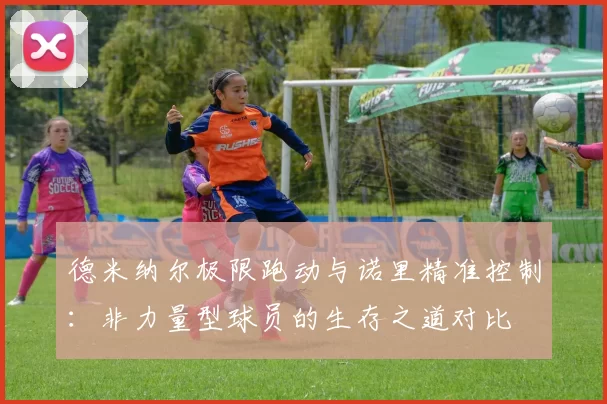 德米纳尔极限跑动与诺里精准控制:非力量型球员的生存之道对比