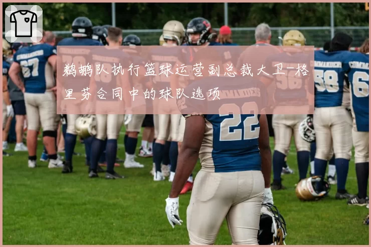 鹈鹕队执行篮球运营副总裁大卫-格里芬合同中的球队选项