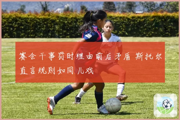 赛会干事罚时理由前后矛盾 斯托尔直言规则如同儿戏