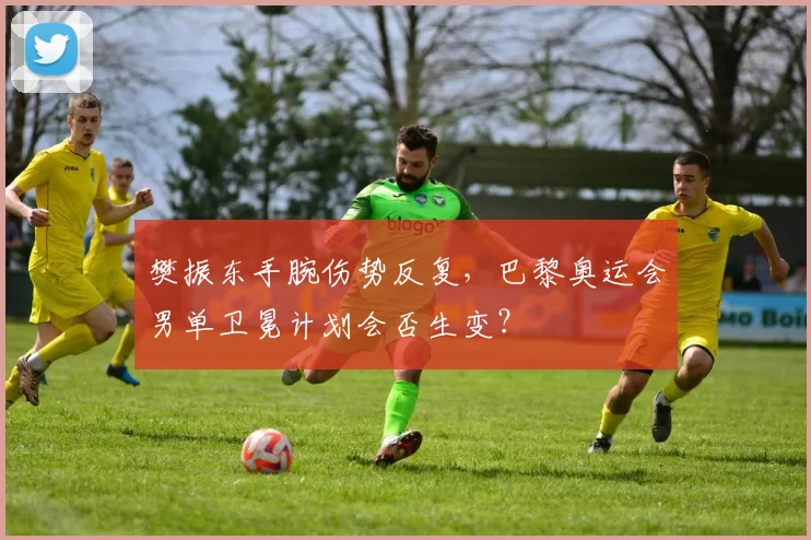 樊振东手腕伤势反复,巴黎奥运会男单卫冕计划会否生变?