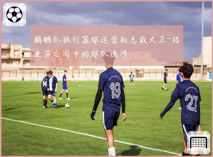 鹈鹕队执行篮球运营副总裁大卫-格里芬合同中的球队选项