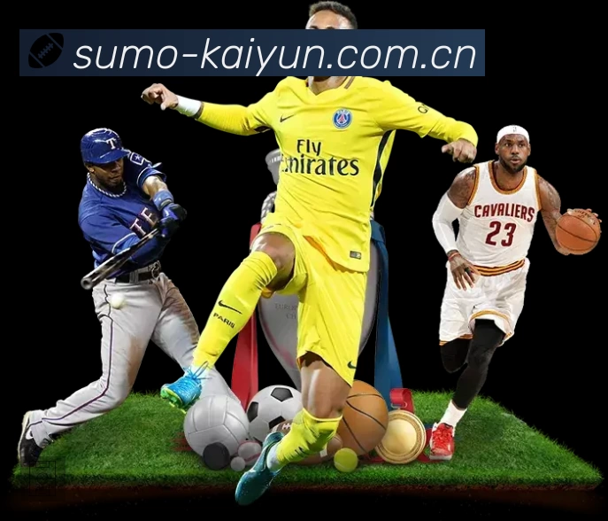 结构优化认证展示